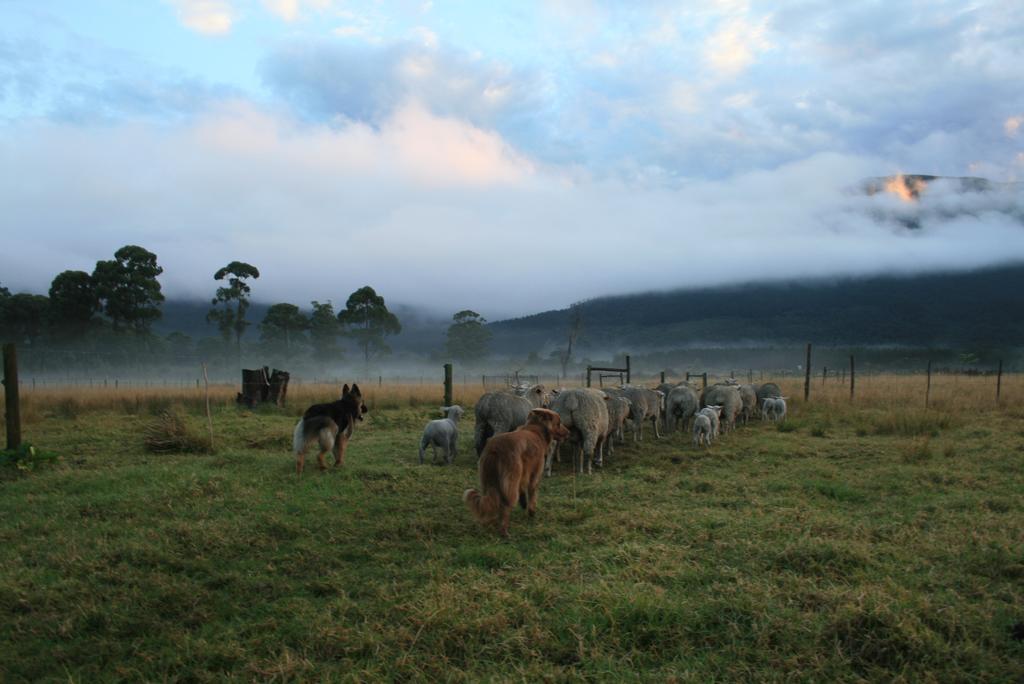 Love Earth Farm Sanddrif Bagian luar foto